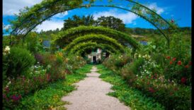 عظمة المساحات الخضراء: نصائح الخبراء لحديقتك المذهلة