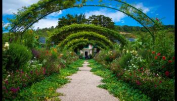 عظمة المساحات الخضراء: نصائح الخبراء لحديقتك المذهلة