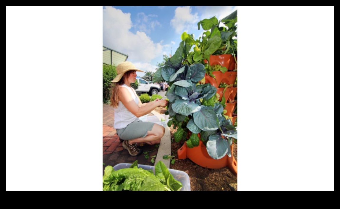 تزهر منضمة إلى الأعلى: مغامرات البستنة العمودية