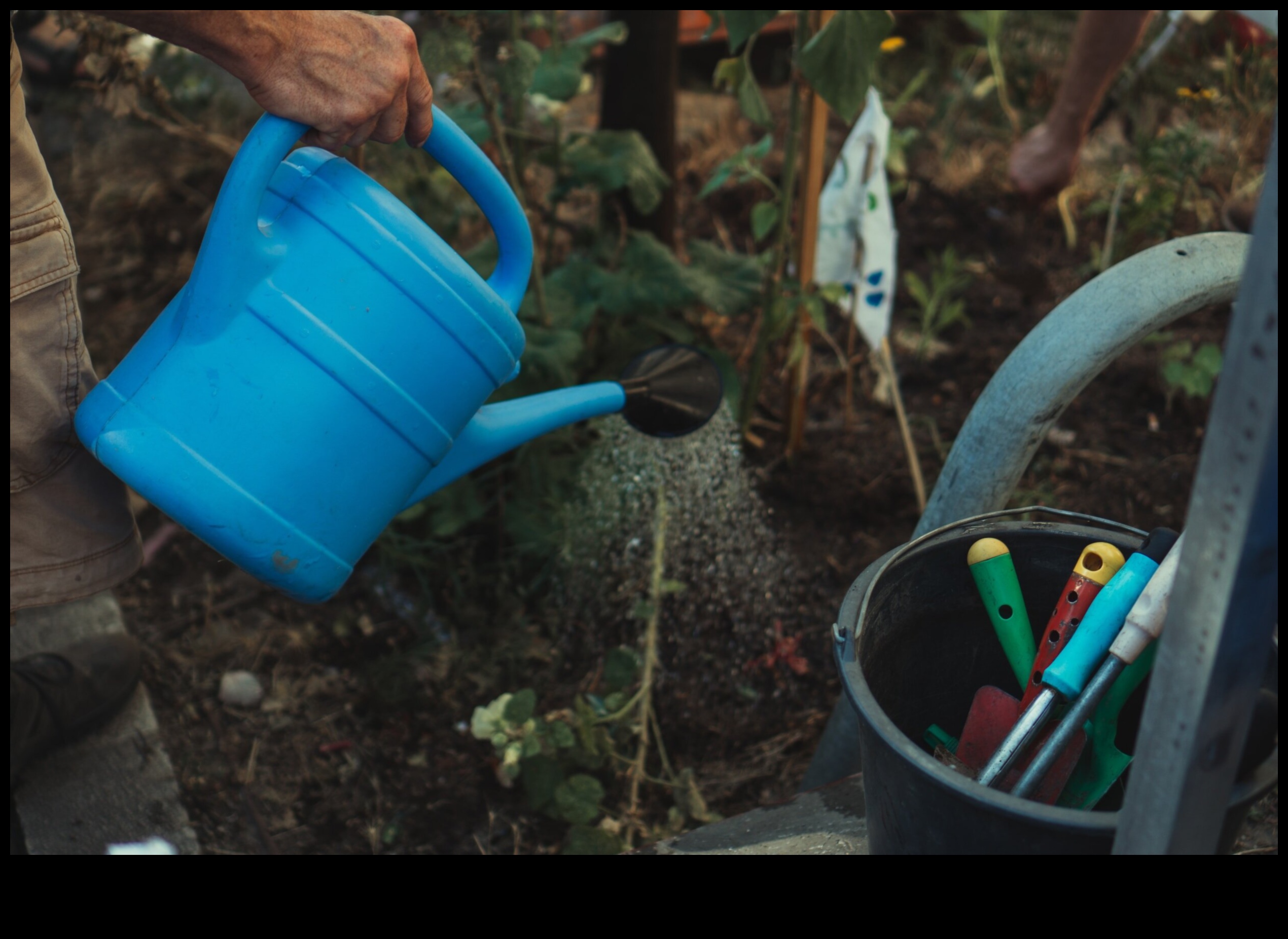 الجذر للحصول على النتائج: قم بترقية حديقتك الترسانة اليوم