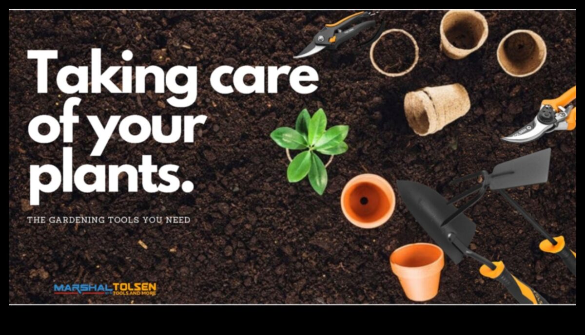 الجذر للحصول على النتائج: قم بترقية حديقتك الترسانة اليوم