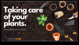 الجذر للحصول على النتائج: قم بترقية حديقتك الترسانة اليوم