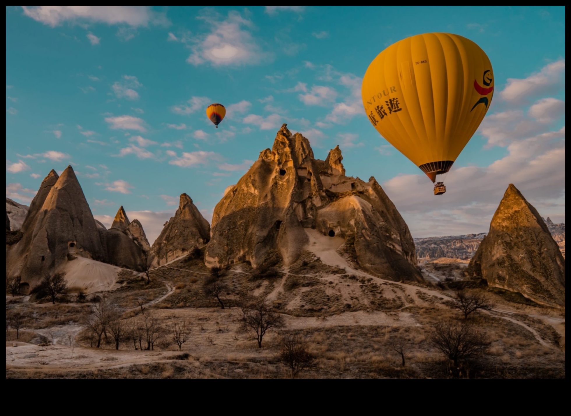 Nomad Navigator: جواز سفرك لاستكشاف جولة الحافلة