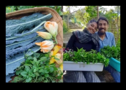 ورشة عمل الحديقة أوديسي: التنقل بين المهارات والمعرفة