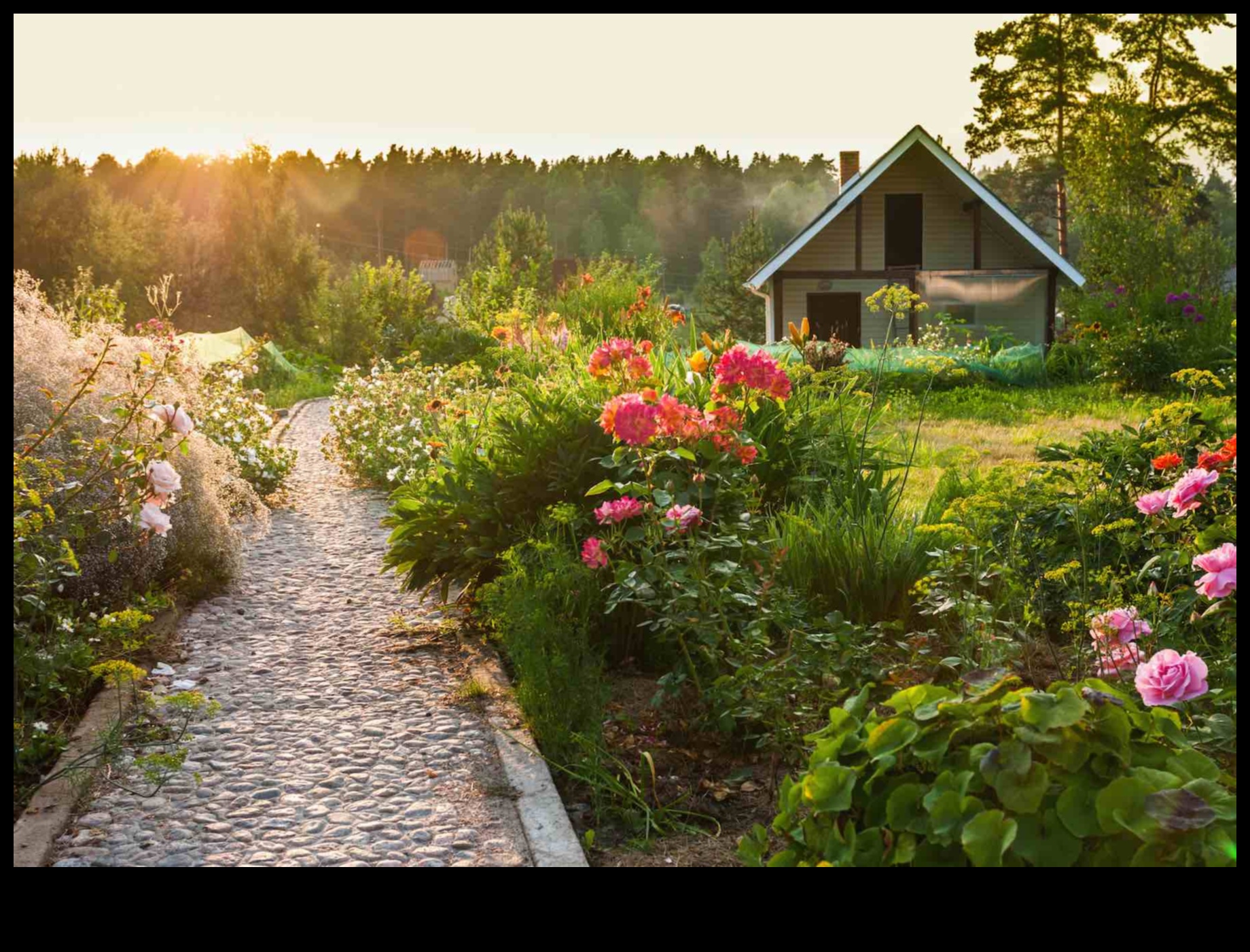 أناقة الكوخ: حدائق مزهرة ذات جمال دائم