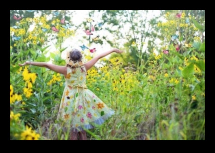 تألق زهر: جمال التعليم في الحديقة