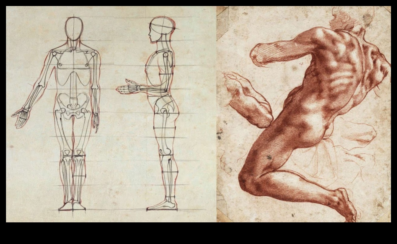 الشكل البشري: إتقان النسب في رسم الحياة
