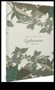 الشروع في الأحداث الزائلة: جمع اللحظات العابرة لنصائح السفر