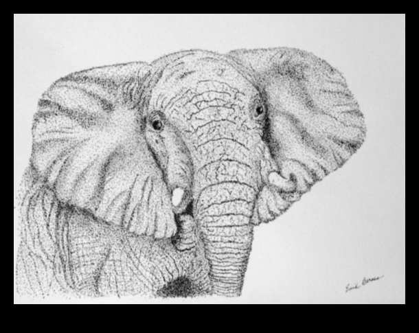 الويب المعقد: استكشاف النقطية في الرسومات بالحبر