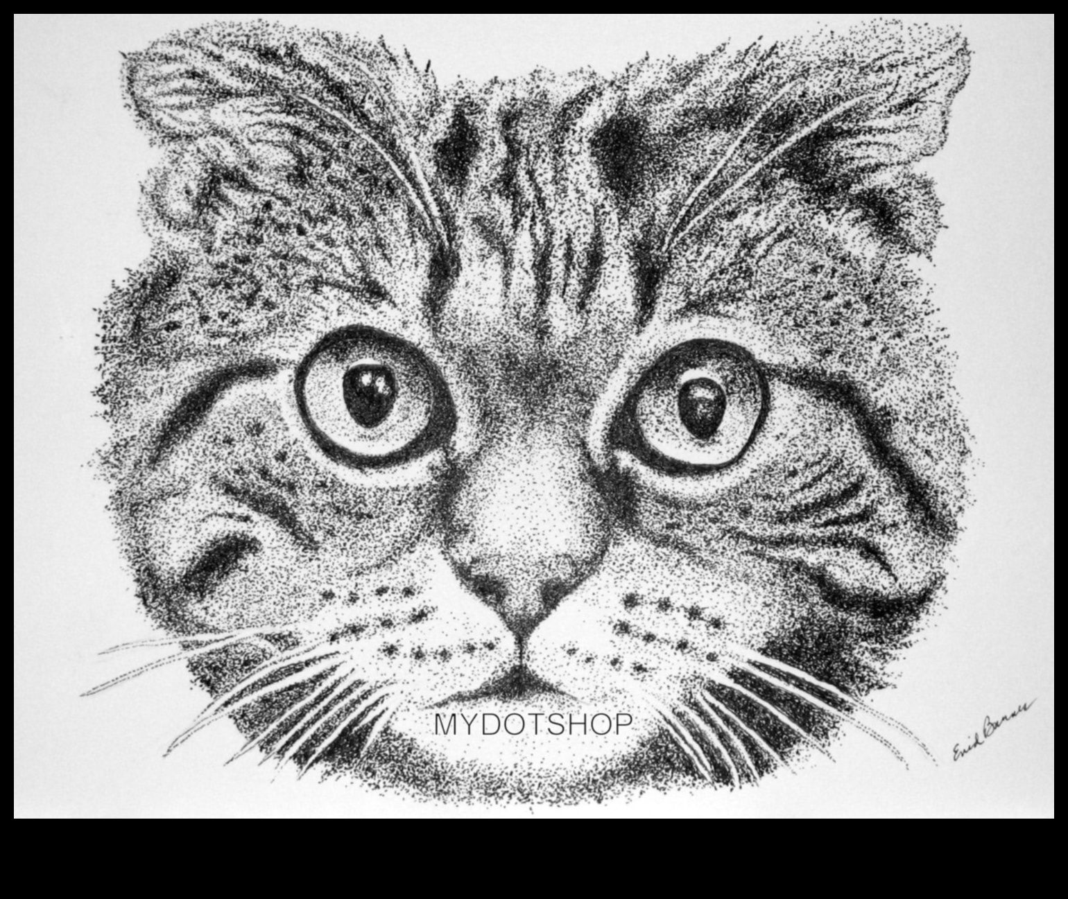 الويب المعقد: استكشاف النقطية في الرسومات بالحبر