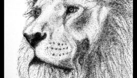 الويب المعقد: استكشاف النقطية في الرسومات بالحبر