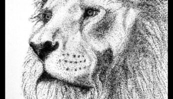 الويب المعقد: استكشاف النقطية في الرسومات بالحبر