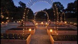 نزوة الحديقة: ارفع مساحتك بذوق فني