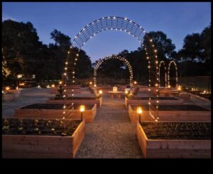 نزوة الحديقة: ارفع مساحتك بذوق فني