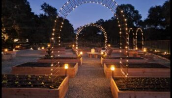 نزوة الحديقة: ارفع مساحتك بذوق فني