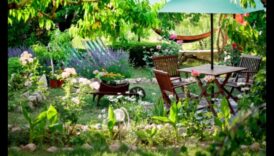 النعيم النحتي: غرس الهدوء في واحتك الخارجية