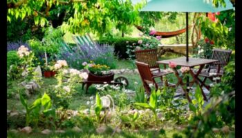 النعيم النحتي: غرس الهدوء في واحتك الخارجية