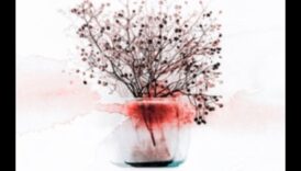 الجمال الزائل: فن رسم لحظات الحياة الساكنة