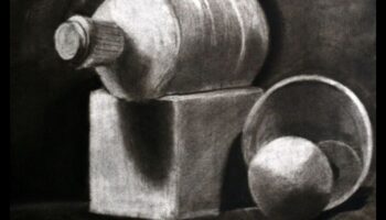 لمحة من الخلود: الحياة الساكنة في الفحم