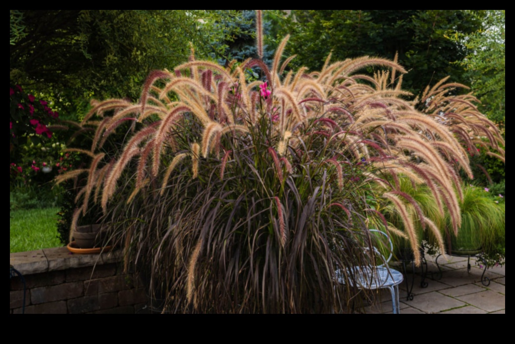 تم الكشف عن أسرار الطبيعة: أناقة DIY لحديقة مزدهرة