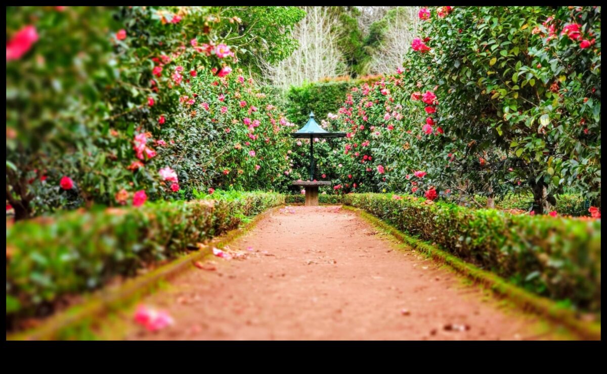 تم الكشف عن أسرار الطبيعة: أناقة DIY لحديقة مزدهرة