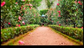 تم الكشف عن أسرار الطبيعة: أناقة DIY لحديقة مزدهرة