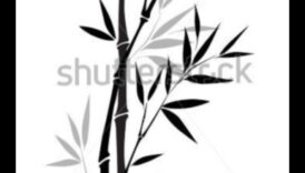 جمال الحبر: صياغة رسومات أنيقة وخالدة