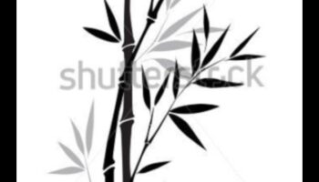 جمال الحبر: صياغة رسومات أنيقة وخالدة