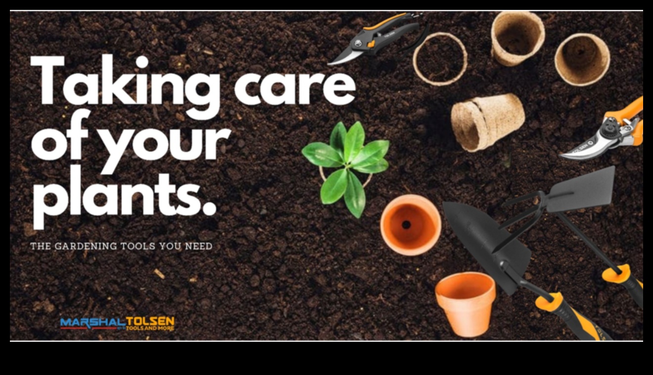 الجذر للحصول على النتائج: قم بترقية حديقتك الترسانة اليوم