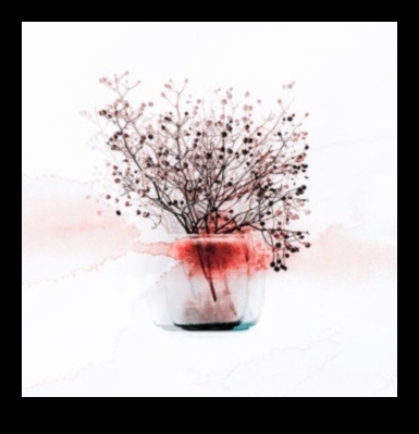 الجمال الزائل: فن رسم لحظات الحياة الساكنة