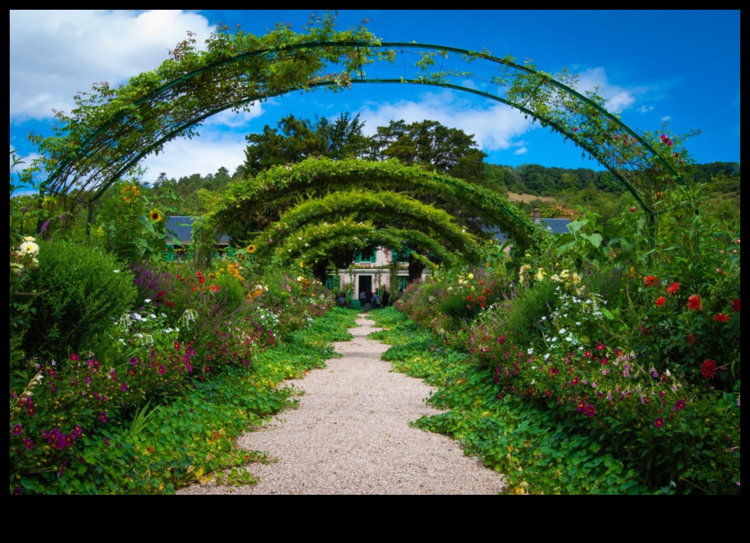 عظمة المساحات الخضراء: نصائح الخبراء لحديقتك المذهلة